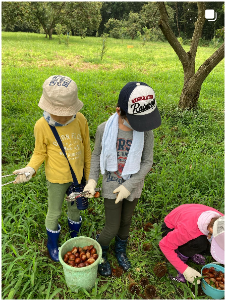 湯浅栗園 風景2