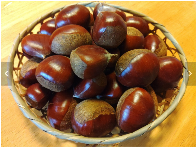 湯浅栗園 おいしい栗3